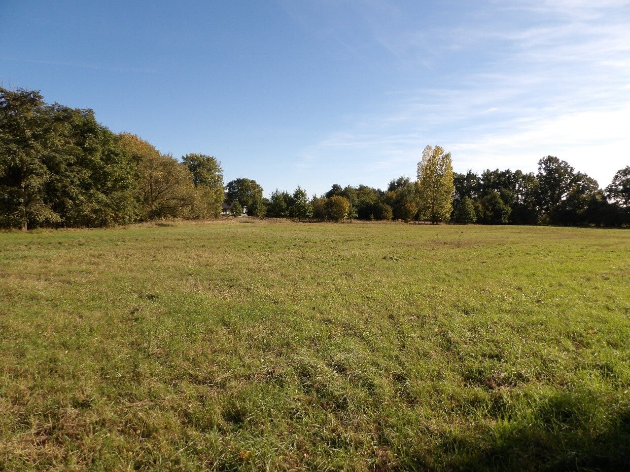 Landwirtschaftliche Fläche zum Kauf 27.500 € 5.890 m²<br/>Fläche Ziegelscheune Gransee 16775