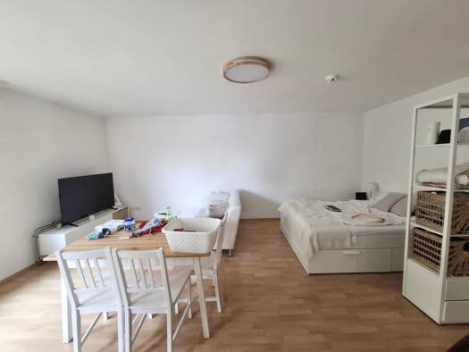 Wohnung zur Miete 510 € 1 Zimmer 38 m² 1. Geschoss frei ab sofort Wöhrd Nürnberg 90489
