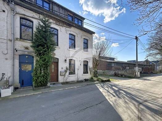 Mehrfamilienhaus zum Kauf provisionsfrei 325.000 € 14 Zimmer 370 m² 319 m² Grundstück Haagenstraße 10 Verviers 4700