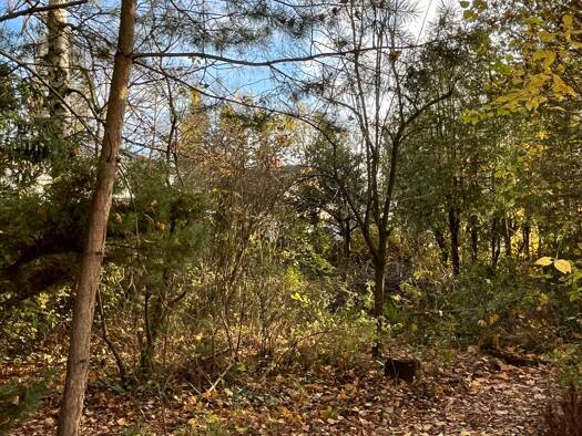 Grundstück zum Kauf 250.000 € 394 m² Grundstück Mahlsdorf Berlin 12623