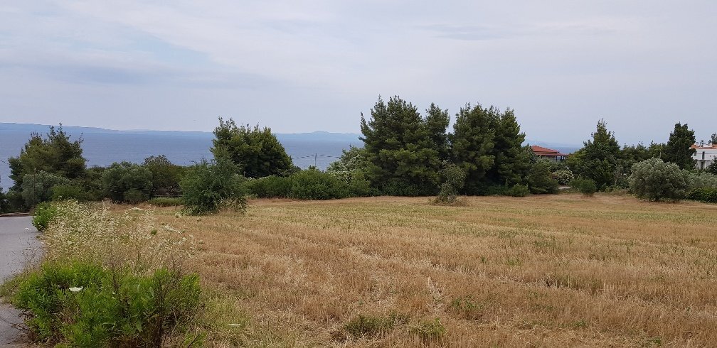 Land-/Forstwirtschaft zum Kauf 1.500.000 € 9.500 m²<br/>Grundstück Chalkidiki