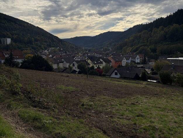 Grundstück zum Kauf provisionsfrei 888.000 € 4.300 m² Grundstück Höfener Straße Calmbach Bad Wildbad 75323