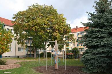 Wohnung zur Miete 370 € 2 Zimmer 54,3 m² 4. Geschoss frei ab 01.09.2025 Wolfgangstraße 35 Innerstädtischer Bereich Mitte 27 Dessau-Roßlau 06844