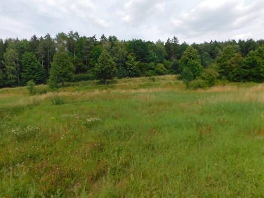 Grundstück zum Kauf 205.671 € 1.149 m² Grundstück Rittersdorf 54636