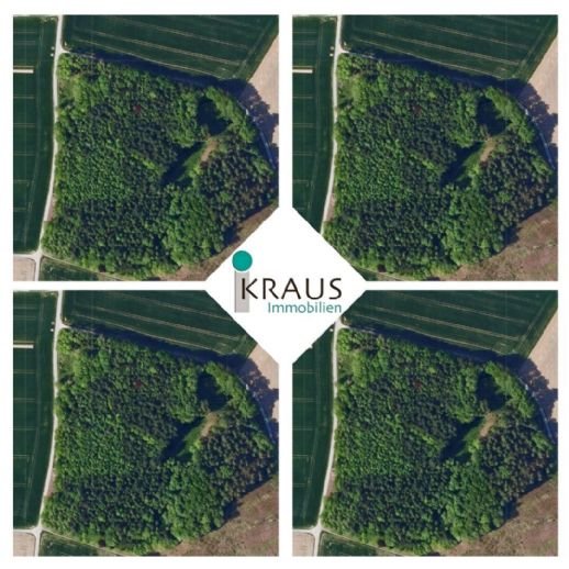 Land-/Forstwirtschaft zum Kauf 505.630 € 50.563 m²<br/>Grundstück Künzing Künzing 94550