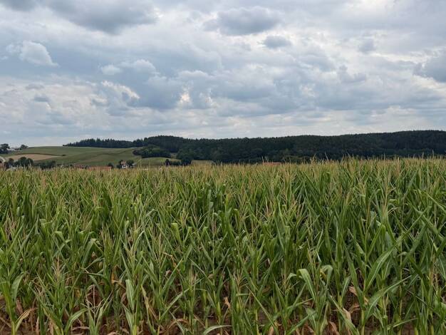 Land-/Forstwirtschaft zum Kauf 699.000 € 26.941 m² Grundstück Güntering Pleiskirchen 84568