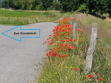 Bauernhaus zum Kauf 99.900 € 5 Zimmer 125 m² 5.804 m² Grundstück Wussentin 9 Wussentin Medow 17391