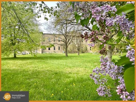Haus zum Kauf 100.000 € 15 Zimmer 1.000 m² 6.494 m² Grundstück Mollenstorf 17217