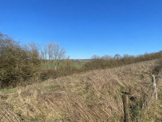 Land-/Forstwirtschaft zum Kauf 44.468 € 17.787 m² Grundstück Oberweis 54636