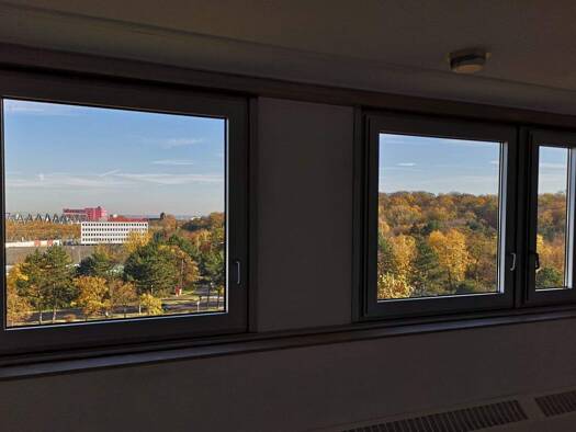 Studio zur Miete 480 € 1 Zimmer 34 m² 7. Geschoss frei ab sofort Graeffstraße 1 Neuehrenfeld Köln 50823