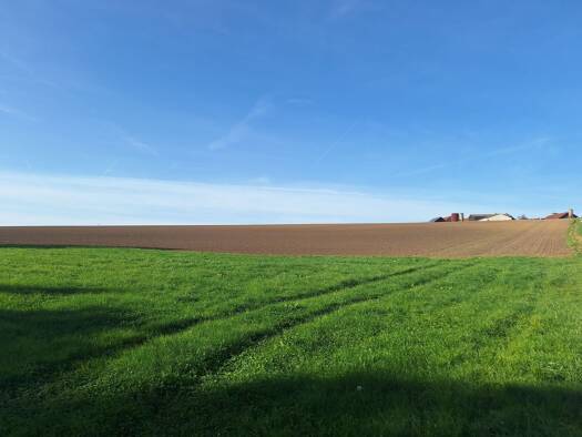 Land-/Forstwirtschaft zum Kauf Thundorf Osterhofen 94486