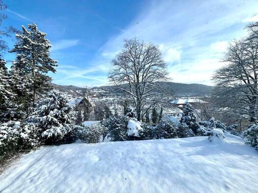 Villa zum Kauf 5,5 Zimmer 264 m² 1.236 m² Grundstück Dillenburg 35683