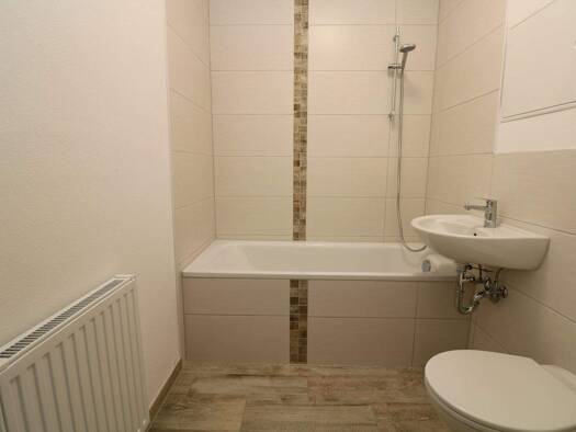 Wohnung zur Miete 369 € 3 Zimmer 54 m² 2. Geschoss Paul-Müller-Straße 70 Freiberg 09599