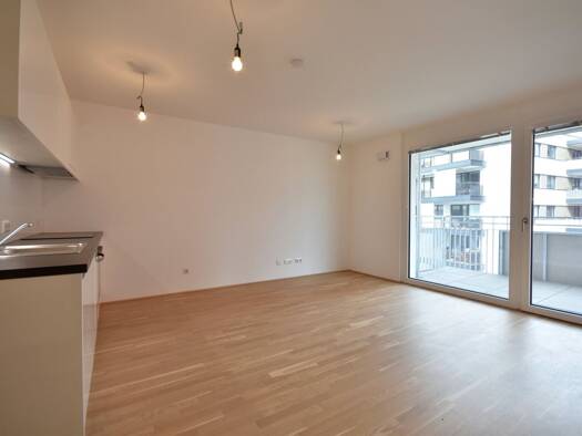 Wohnung zur Miete 919 € 2 Zimmer 45 m² 3. Geschoss Drorygasse Wien 1030