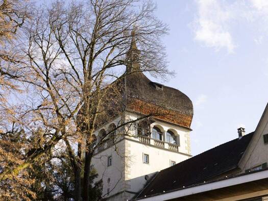 Wohnung zum Kauf 4 Zimmer 128,1 m² Bregenz 6900