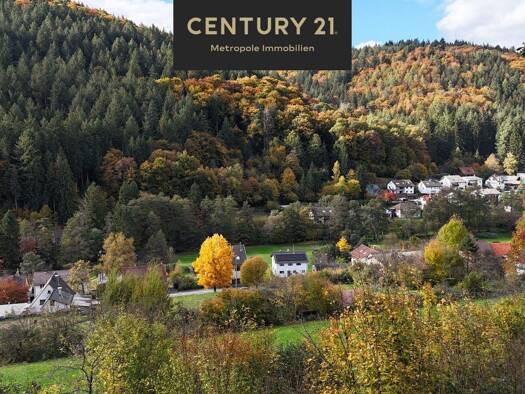 Grundstück zum Kauf 267.000 € 2.135 m² Grundstück Altneudorf Schönau-Altneudorf 69250