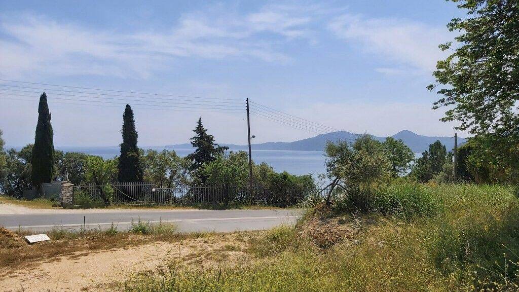 Land-/Forstwirtschaft zum Kauf 800.000 € 6.000 m² Grundstück Korfu