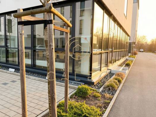 Praxis zur Miete provisionsfrei 241,1 m² Bürofläche teilbar ab 241,1 m² Gonsenheim Mainz 55124
