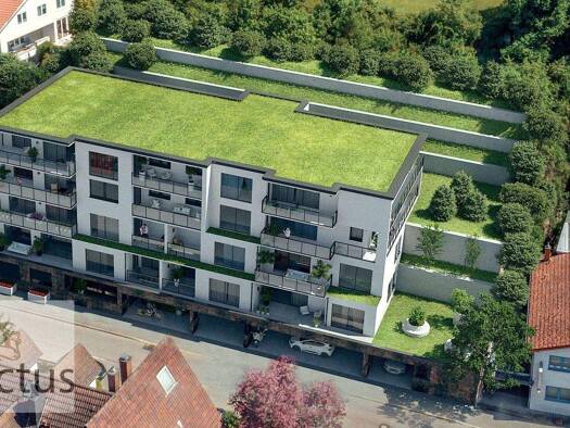 Mehrfamilienhaus zum Kauf provisionsfrei 449.000 € 46 Zimmer 1.452 m² 1.165 m² Grundstück Mosbach Mosbach 74821