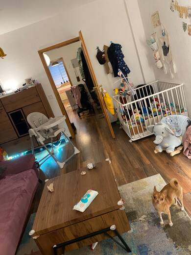 Wohnung zur Miete 550 € 2,5 Zimmer 80 m² EG Wüstenhöfer Straße 185 Bochold Essen 45355