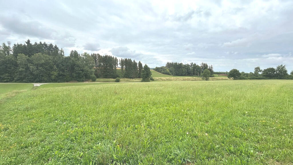 Land-/Forstwirtschaft zum Kauf 69.900 € 10.875 m² Grundstück Mohrenhausen Kettershausen-Zaiertshofen 86498