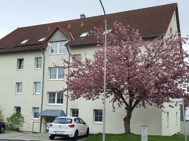 Mehrfamilienhaus zum Kauf 860.000 € 28 Zimmer 677 m² 1.020 m² Grundstück Holenbrunn Wunsiedel 95632