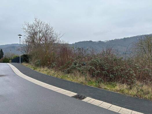 Grundstück zum Kauf 69.700 € 697 m² Grundstück Traben Traben-Trarbach 56841