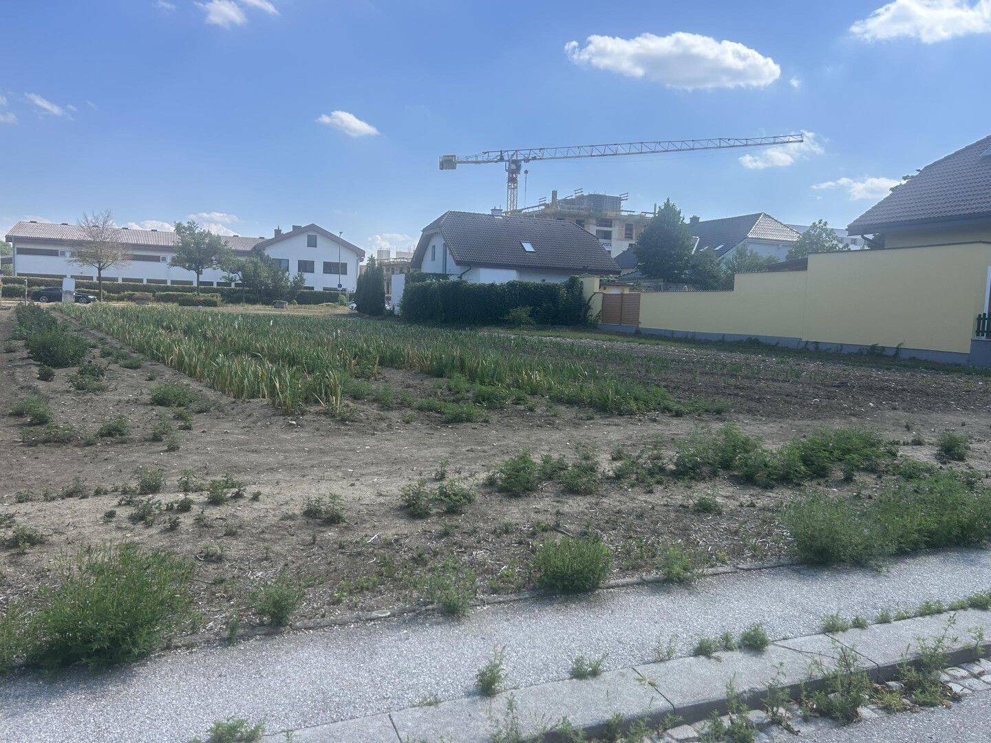 Grundstück zum Kauf - View 3