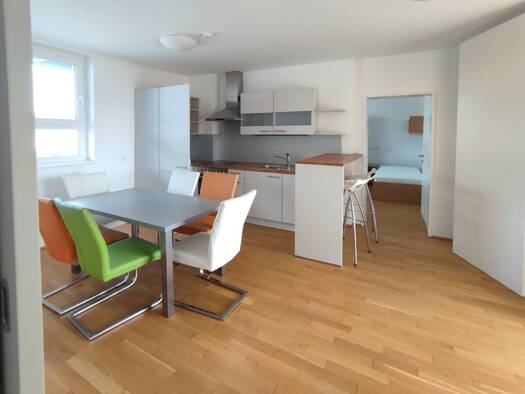 Wohnung zur Miete 829 € 3 Zimmer 67,2 m² 2. Geschoss Lustenau Linz 4020