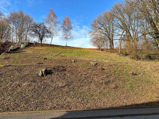 Grundstück zum Kauf 195.000 € 1.030 m² Grundstück Sailauf 63877