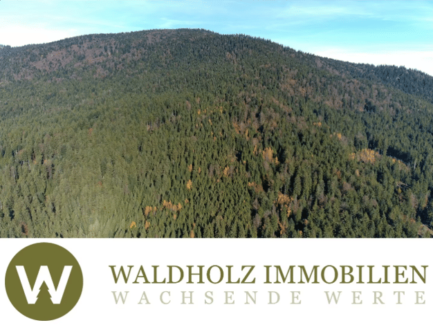 Forstwirtschaft zum Kauf 330.000 € 102.806 m² Grundstück Arnbruck Arnbruck 93471