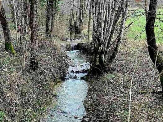 Haus zum Kauf 333.000 € 2 Zimmer 172 m² Pazin