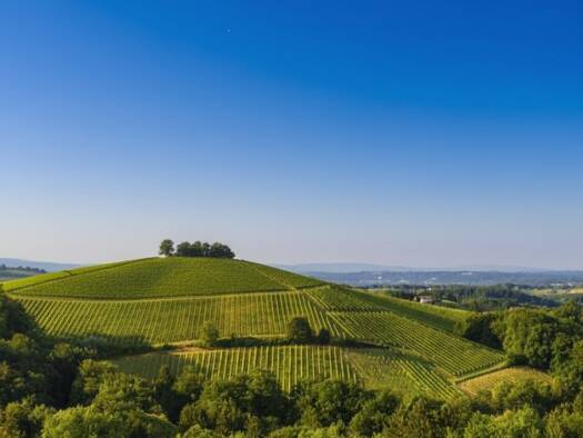 Bauernhaus zum Kauf 1.570.000 € 45.400 m² Grundstück Gamlitz 8462