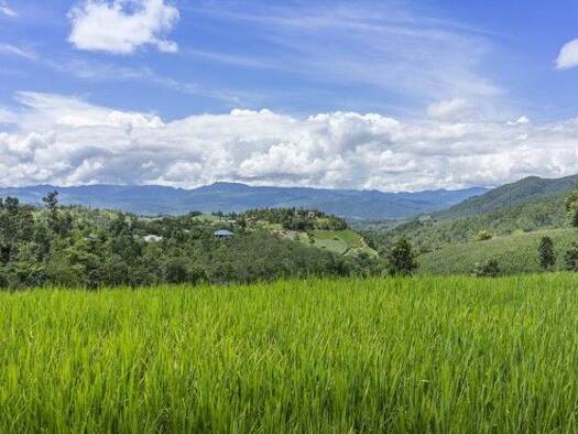 Einfamilienhaus zum Kauf 250.000 € 5 Zimmer 215 m² 1.600 m² Grundstück Sant´Omero 64027