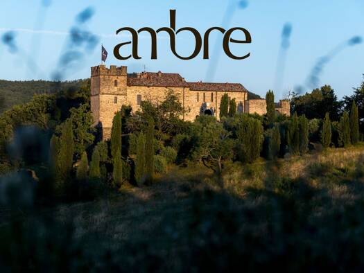 Herrenhaus zum Kauf 3.450.000 € 20 Zimmer 1.600 m² 270.000 m² Grundstück Piacenza Piacenza