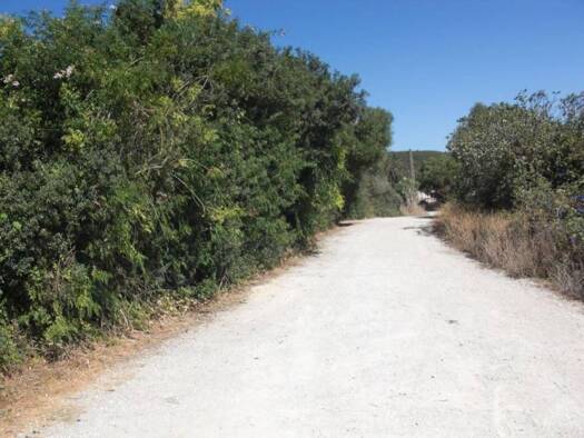 Acker-/Waldstück zum Kauf 500.000 € Vejer de la Frontera 11150