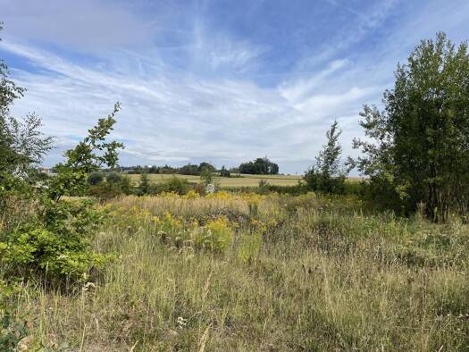 Grundstück zum Kauf 89.000 € 1.450 m² Grundstück Waldheim Waldheim 04736
