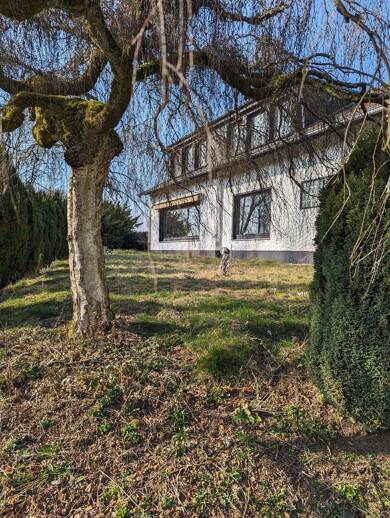 Haus zum Kauf 539.000 € 180 m² 4.300 m² Grundstück Hülscheid Schalksmühle 58579