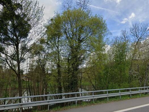 Land-/Forstwirtschaft zum Kauf 300 € 2.568 m² Grundstück B418 oNr Langsur Langsur 54308