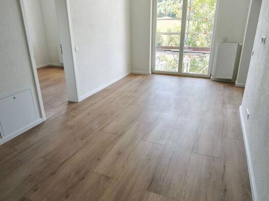 Wohnung zur Miete 680 € 3 Zimmer 52 m² 1. Geschoss frei ab 01.11.2026 Stadtgebiet Vöhrenbach 78147