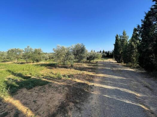 Acker-/Waldstück zum Kauf 110.000 € AFORES 54 la Bisbal d'Empordà 17115