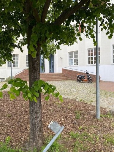 Bürofläche zur Miete provisionsfrei 12 € 5 Zimmer 144,4 m² Bürofläche Konsumhof 2 Babelsberg - Süd Potsdam 14482