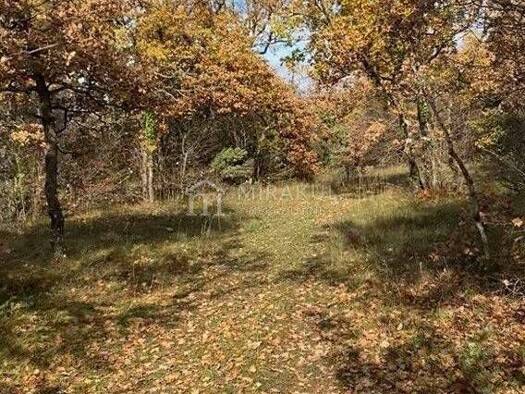 Acker-/Waldstück zum Kauf 555.555 € Drniš Drniš 22320