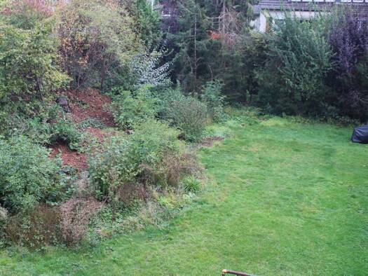 Wohnung zur Miete 469 € 3 Zimmer 63 m² 1. Geschoss frei ab 01.07.2026 Linderhauser Straße 24 Schwelm 58332