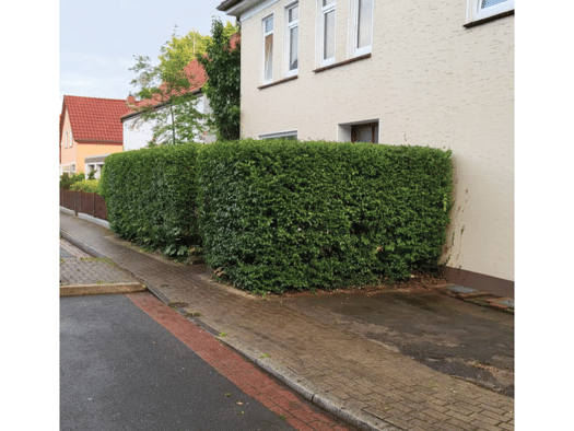 Wohnung zur Miete 950 € 4 Zimmer 90 m² Geschoss 2/3 frei ab sofort Fritz-Wildung-Straße 16 Vegesack Bremen 28755