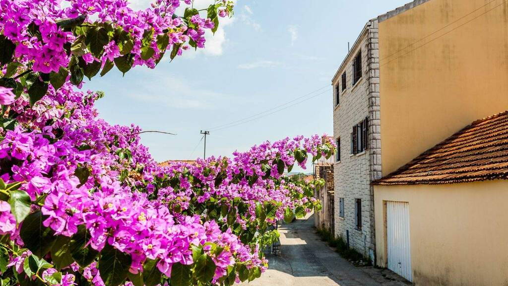 Mehrfamilienhaus zum Kauf 225.000 € 9 Zimmer 190 m² 200 m² Grundstück frei ab sofort Vela Luka 20 270