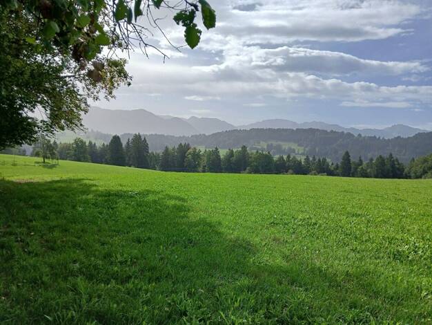 Land-/Forstwirtschaft zum Kauf 86.000 € 9.030 m² Grundstück Lechbruck Lechbruck a.See 86983