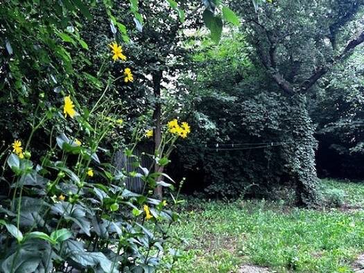 Grundstück zum Kauf 779.000 € 890 m² Grundstück Lichterfelde Berlin 14167