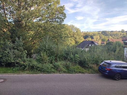 Grundstück zum Kauf 60.000 € 687 m² Grundstück Waldfischbach-Burgalben 67714