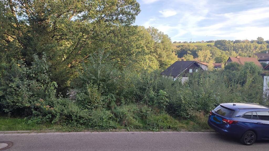 Grundstück zum Kauf 60.000 € 687 m² Grundstück Waldfischbach-Burgalben 67714